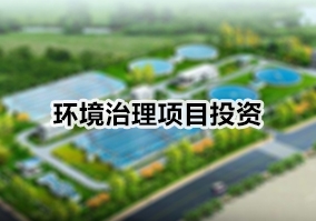 ����������ĿͶ��