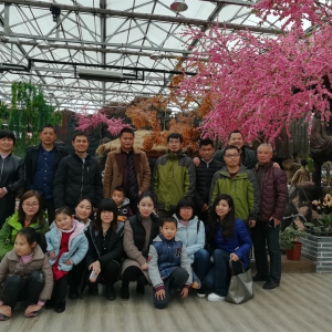 �ݲ�Ա�����ӻ���̽��