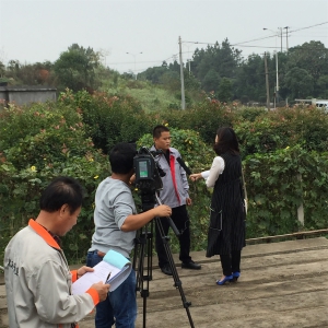 �㽭���Ӽ�������˾�ɼ������ز�